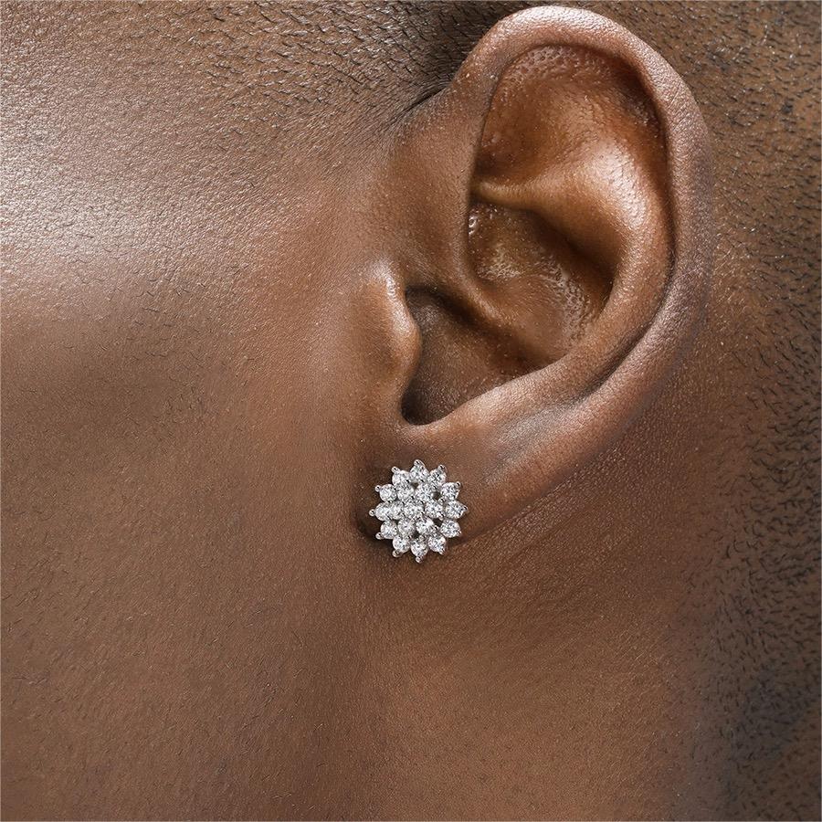 Snowflake Earrings