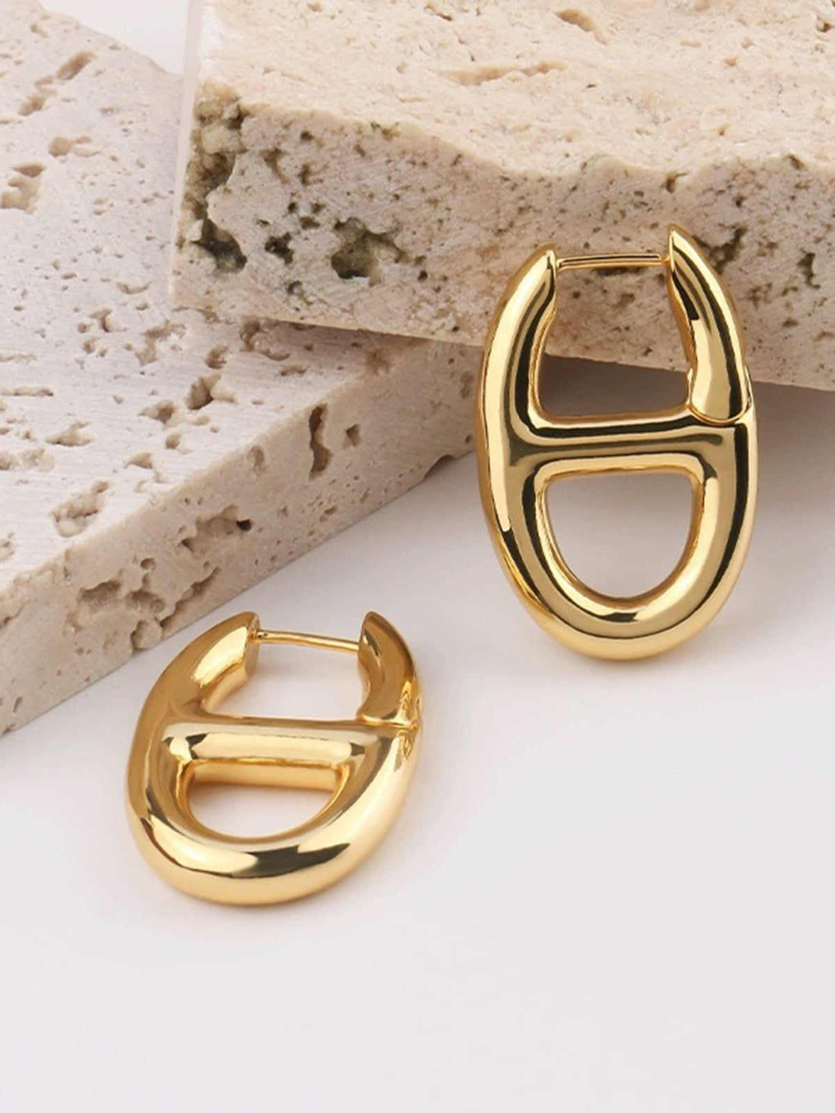 Golden Pig Nose Earrings