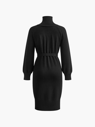 Turtleneck Button Belted Sweater Dress